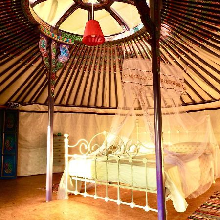 Exclusive Nirvana Yurts Glamping Kato Drys Buitenkant foto