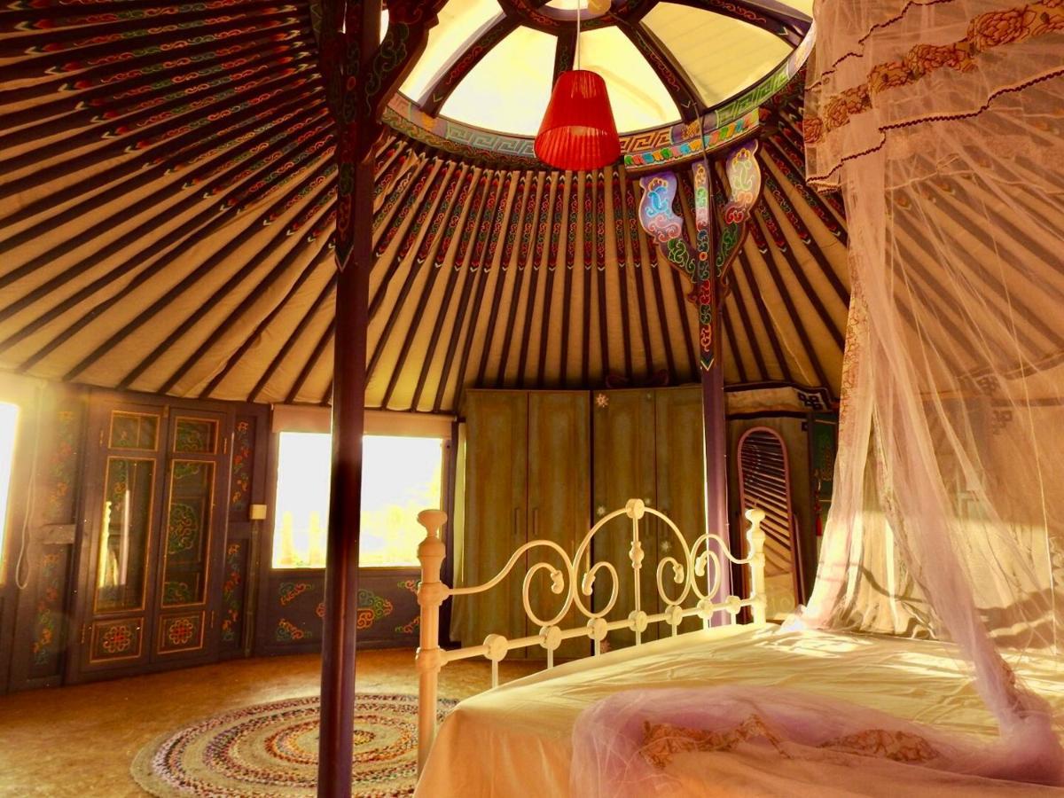 Exclusive Nirvana Yurts Glamping Kato Drys Buitenkant foto