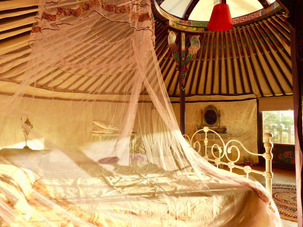 Exclusive Nirvana Yurts Glamping Kato Drys Buitenkant foto